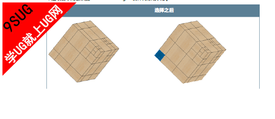 solidworks设计树