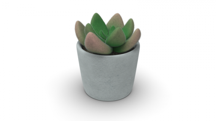 Potted Succulent.71.png